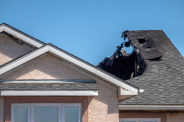 Top rated local Fire Damage Removal specialists in Lebanon, OH